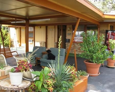 Walnut Forest Motel Austin Exterior foto
